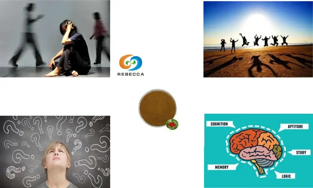 What is rhodiola rosea extract good for?